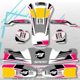 BIREL ART RY30 S18 2025 FULL stickers KIT