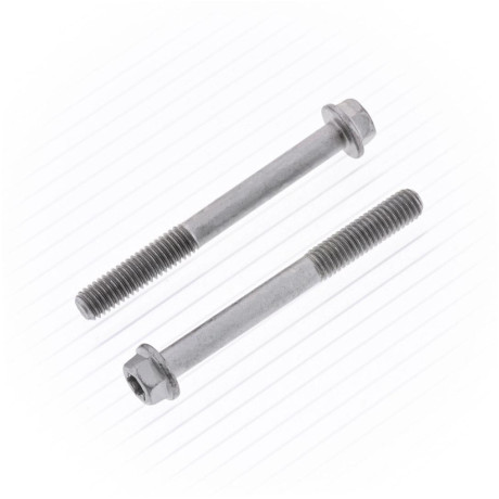 Sada šroubů M6x1,0x55 SW8 Euro Style 10ks