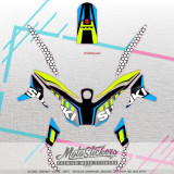 Suzuki V Strom 650 custom stickers set